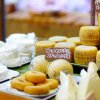 Varietà di formaggi con etichette, tra cui pecorino e caciocavallo.