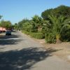 Strada tranquilla con palme e auto parcheggiate, sotto un cielo azzurro.