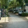 Una fila di camper parcheggiati lungo un sentiero alberato, con biciclette montate sui portabagagli.