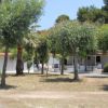 Bungalow bianchi tra alberi e natura.