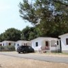 Bungalow bianchi lungo un sentiero alberato.
