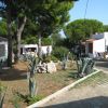 Un giardino con piante e piccoli edifici bianchi tra gli alberi.