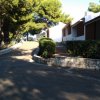 Strada alberata che costeggia villette bianche.