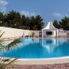 Una piscina circondata da lettini e ombrelloni.