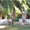 Bungalows bianchi tra palme e vegetazione verdeggiante.