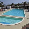 Piscina con palme e sdraio.