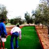 Persone giocano a bocce su un campo d'erba, circondato da alberi.