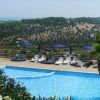 Vista panoramica di collina e piscina circondata da palme.